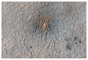 A New Impact Site in the Southern Middle Latitudes