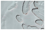 South Polar Residual Cap Monitoring
