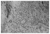Secondary Craters in Bas Relief