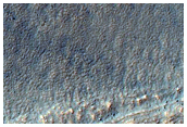 Gully Monitoring
