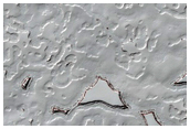 Monitoring of South Polar Residual Cap Albedo Features

