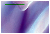 Aonia Terra Dune Field Changes

