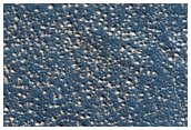 Sample in Southern Arcadia Planitia
