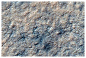Spiders on Ejecta Blankets
