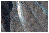 Gullies in Northwest Slope of Hale Crater
