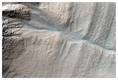 Gully Monitoring
