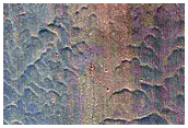 Rim of Lucaya Crater
