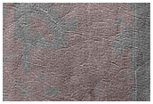 South Polar Residual Cap Monitoring
