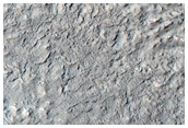 Mid-Latitude Terrain Sample
