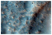Terrain with Diverse Compositions
