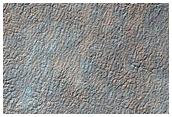 Sample of Possible Spider Terrain in New Area
