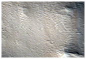 Olympus Mons Perimeter Scarp
