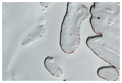 South Polar Residual Cap Monitoring
