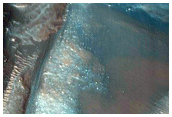 Hebes Chasma Climbing Dunes
