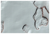 Monitoring of South Polar Residual Cap Albedo Features
