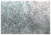 South Polar Residual Cap
