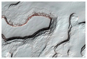 South Polar Residual Cap Monitoring
