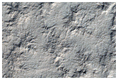 Spider Terrain
