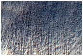 Ravine nr kanten av Newton-krateret