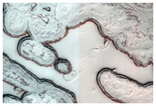 South Polar Residual Cap
