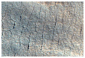 Scalloped Terrain Near Mound in Far Western Utopia Planitia
