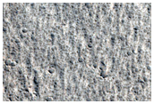 Lava Crust and Wakes in Amazonis Planitia
