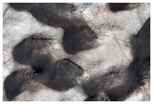 Floor of Burroughs Crater
