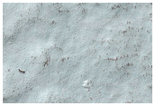 South Polar Residual Cap Monitoring
