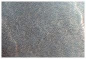 Surface Flow in Protonilus Mensae
