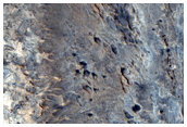 Ridges in Meridiani Planum
