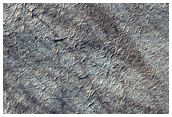 Spider Terrain Not on South Polar Layered Deposits
