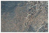 Possible Aqueous Sediments in Hellas Planitia
