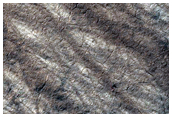 South High-Latitude Terrain
