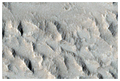 Lava Flows Daedalia Planum
