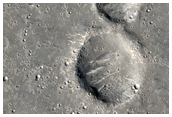 Landforms Near Elysium Planitia
