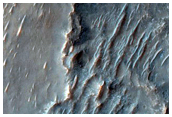 Bedrock Layers
