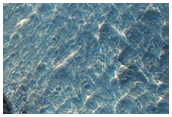 Light-Toned Layered Deposit Within Hydrae Chasma
