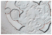South Polar Residual Cap Intraseasonal Change Monitoring
