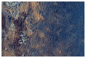Valley Network Materials Overlapped by North Syrtis Major Flow
