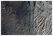 Gullies and Lobate Material on Massif in Nereidum Montes
