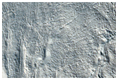 Sinuous Ridge in Tempe Terra
