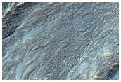 Gullies on Crater Wall
