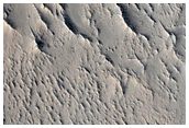 Sinuous Ridges and Cratered Mesa Tops in Central Arabia Terra
