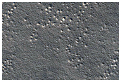 Albedo Boundary in Arcadia Region
