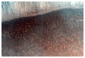 Gullies and Seasonal Frost
