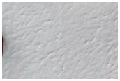 South Polar Residual Cap Monitoring
