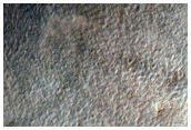 Gullies in Crater Near Copernicus Crater
