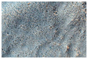 Brain Terrain in Crater in Hellas Montes Region
