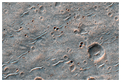 Isolated Secondary Cluster from a Well-Preserved Crater in Hesperia Planum