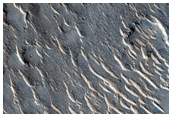 Ridge in Isidis Dorsa
